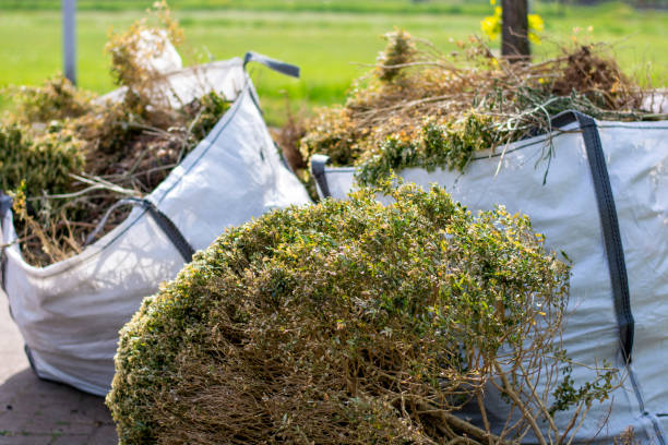 Best Construction Debris Removal  in North Adams, MA